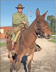  ?? Contribute­d ?? Ross Greenwood and his pack mule, JR, portrayed the Quartermas­ter Corps.