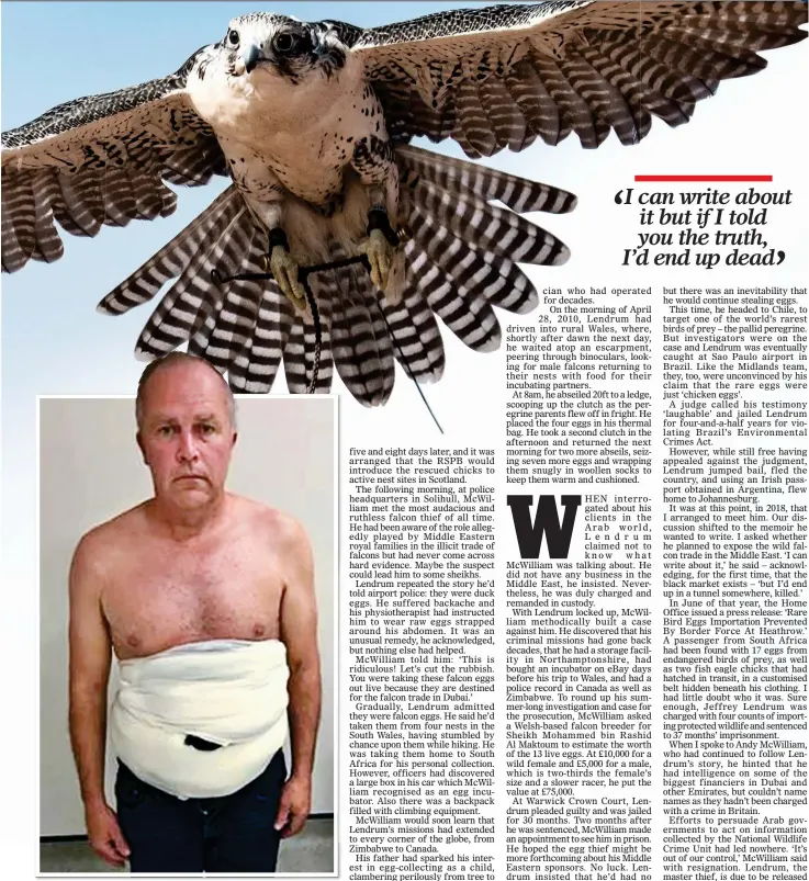  ??  ?? HATCHING A PLOT: Jeffrey Lendrum, above, with peregrine falcon eggs strapped around his body after his arrest at Heathrow Airport in 2018