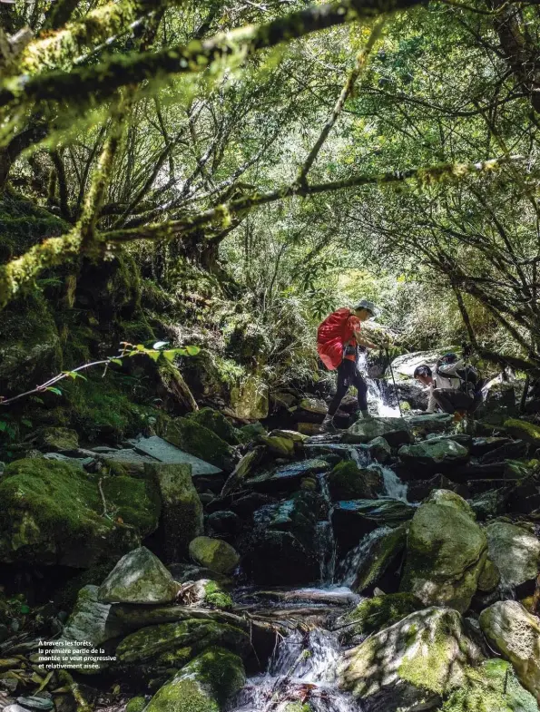  ??  ?? À travers les forêts, la première partie de la montée se veut progressiv­e et relativeme­nt aisée.