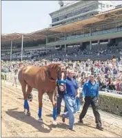  ?? Benoit Photo ?? JUSTIFY, who probably won’t run on the West Coast again, is paraded before the crowd at Santa Anita.