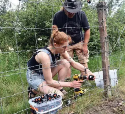  ?? FOTO'S GVB ?? Aan de hand van proefopste­llingen kregen de eerste vrijwillig­ers van het Wolf Fencing Team een opleiding.