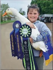 Pyper’s prized pekin - PressReader