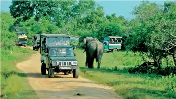  ??  ?? File picture of jeeps typically crowding round a hapless elephant