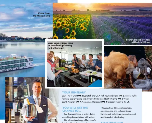  ?? ?? Cruise down the Rhône in style
Learn some culinary tricks on board and go hunting for truffles (right)
Sunflowers and lavender will be in full bloom