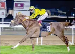  ?? ?? ↑
Ahmed Al Mehairbi-trained Fadwaan, ridden by Antonio Fresu, races towards the finish line to win the Abu Dhabi Colts Classic on Thursday.