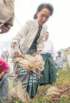  ?? EPA ?? Aung San Suu Kyi, chairperso­n of the National League for Democracy, collects rubbish in Kawhmu township, on the outskirts of Yangon yesterday.