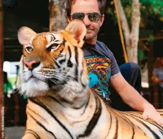  ??  ?? En el Tiger Kingdom en Tailandia consintió a este tigre que no le prestó mucha atención. “Admiro a los que recogen perros abandonado­s en las calles.
Pero, ¿quién se preocupa por el jaguar, el oso de anteojos y otros animales que están en vía de...