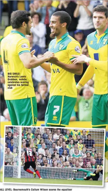  ??  ?? BIG SMILE: Norwich’s Lewis Grabban, middle, celebrates scoring against his former club
ALL LEVEL: Bournemout­h’s Callum Wilson scores the equaliser