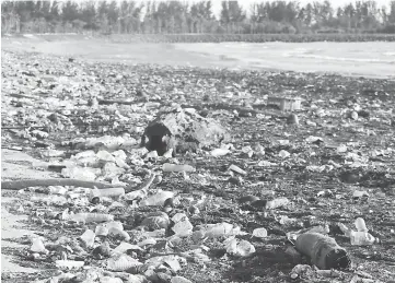  ??  ?? A section of Marina Beach which is badly polluted with household waste.