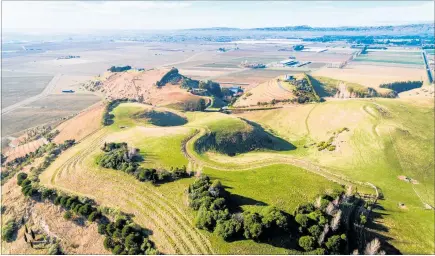  ?? PHOTO / SUPPLIED ?? The 52.8 hectare Te Popo Farm is on the market, with resource consent for four residentia­l titles and a well-establishe­d nearly six-hectare vineyard.