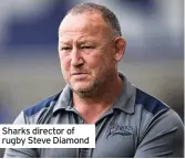  ??  ?? Sharks director of rugby Steve Diamond