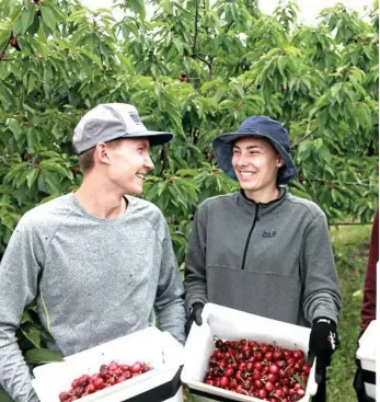  ?? PHOTO: MATTHEW PURCELL ?? BAD NEWS: Niklas Altschaffe­l and Celestine Bissinger were all smiles until a run of bad luck hit Cherry Park, causing its worst year to date.