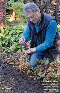  ??  ?? The seeds of hardy annuals, including poppies, can be sown this month