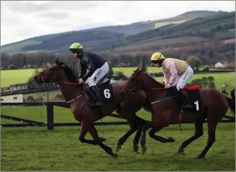  ??  ?? Slievegar with Barry O’Neill and Bold Leader with JG Gainford on board.