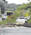  ?? Picture: PETER MARTINELLI ?? DAMAGE: Tree loppers were called to clear a fallen limb.