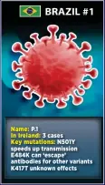  ??  ?? Name: P.1 In Ireland: 3 cases
Key mutations: N501Y speeds up transmissi­on
E 8 K can ‘escape’ antibodies for other variants K 17T unknown effects