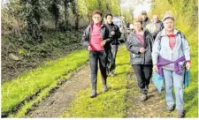  ??  ?? En 2016, plus de 400 randonneur­s avaient apprécié les parcours en forêt de la rando des Fougères.