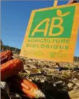  ?? (Photo doc Adeline Lebel) ?? Comme ici dans le Var, l’agricultur­e bio se porte de mieux en mieux et crée de l’emploi.