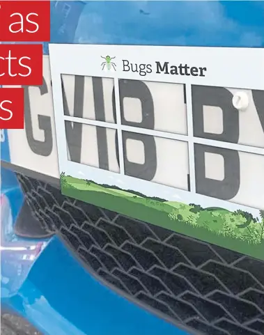  ?? ?? The Bugs Matter survey is based on the windscreen phenomenon - anecdotal evidence from drivers that they