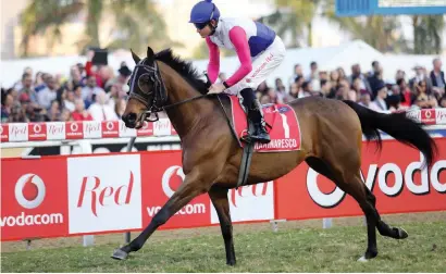  ??  ?? DOUBLE. Marinaresc­o, winner of the Vodacom Durban July, is among the entries for the Grade 1 World Sports Betting Champions Cup over 1800m at Greyville on Saturday, 29 July.