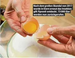  ??  ?? Nach dem großen Skandal von 2017 wurde in Eiern erneut das Insektengi­ft Fipronil entdeckt. 73 000 Eier werden nun zurückgeru­fen.