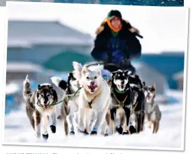  ?? ?? WONDERWALL: The massive Harvard Glacier in College Fjord, top. Above: Alaskan dogs pulling a sled