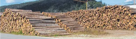 ?? FOTO: FRANZ DREYER ?? Derzeit lagert viel Holz entlang des Immendinge­r Güterbahnh­ofs.