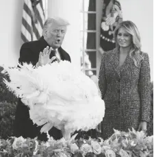  ?? ASSOCIATED PRESS ?? PRESIDENT DONALD TRUMP PARDONS CORN, the national Thanksgivi­ng turkey, in the Rose Garden of the White House on Tuesday in Washington, as first lady Melania Trump and National Turkey Federation Chairman Ron Kardel of Walcott, Iowa, look on.