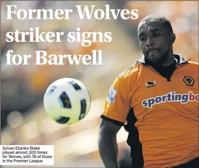  ??  ?? Sylvan Ebanks-Blake played almost 200 times for Wolves, with 76 of those in the Premier League