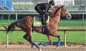  ?? JAMIE RHODES/USA TODAY SPORTS ?? Justify hasn’t run many races, nor has he had to battle in the races he’s run. But he’s still the favorite for Saturday’s Kentucky Derby.