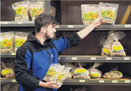  ?? PHOTO: STEPHEN JAQUIERY ?? Restocking . . . Nichol’s Garden Centre staff member Adam Jamieson sorts the dwindling supply of seed potatoes in the Dunedin store yesterday.