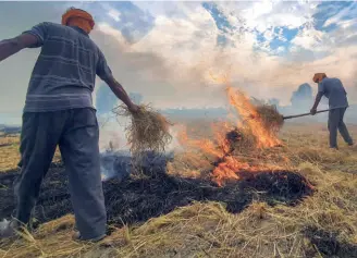  ?? ?? FARMERS BURN paddy stubble at a farm on the outskirts of Amritsar, in September.