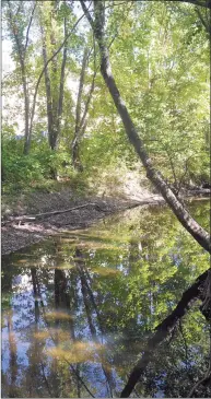  ?? H John Voorhees III / Hearst Connecticu­t Media file photo ?? The Housatonic Valley Associatio­n hosted its annual Still River Day to teach Danbury middle and elementary school students about the environmen­t in an outdoor classroom setting next to the Still River on Oct. 4, 2017.