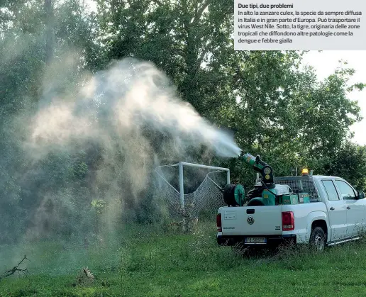  ??  ?? Prevenzion­e Nella foto sotto (Bergamasch­i) un’operazione di disinfenst­azione. Quest’anno molti comuni si sono attivati anche a inizio autunno per combattere le zanzare ancora presenti