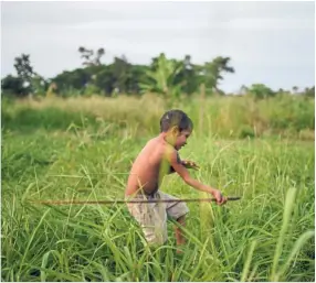  ??  ?? Isolated but happy: The Arara, who like other indigenous groups across Latin America’s biggest country of 209 million people, have long battled to protect their traditiona­l way of life away from towns and cities.