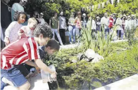  ?? ?? Unos niños participan en la actividad en el estanque de los jardines.