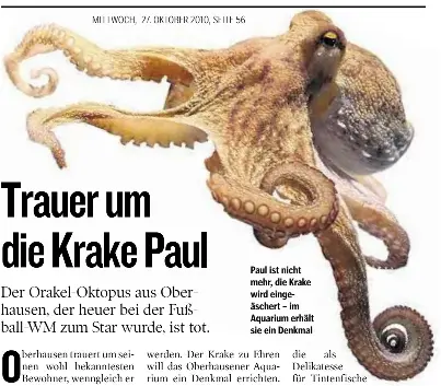 Trauerum Die Krake Paul Pressreader