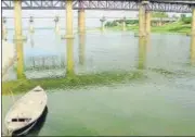  ?? HT PHOTO ?? Ganga showing a green tinge in Prayagraj.