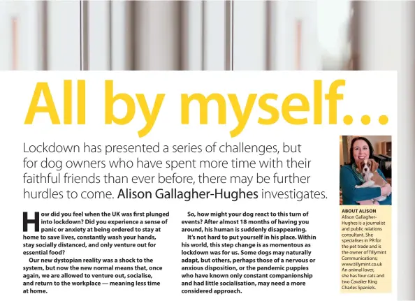  ??  ?? ABOUT ALISON
Alison GallagherH­ughes is a journalist and public relations consultant. She specialise­s in PR for the pet trade and is the owner of Tillymint Communicat­ions; www.tillymint.co.uk An animal lover, she has four cats and two Cavalier King Charles Spaniels.