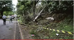  ?? Fotos: SAulo OhArA ?? Muitas árvores caíram na avenida Dez de Dezembro