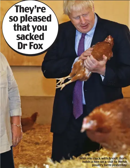  ??  ?? Wish me cluck with Brexit: Boris holds a hen on a visit to Welsh poultry farm yesterday
