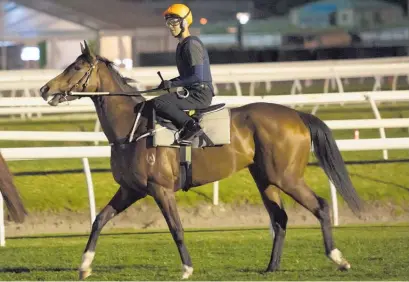  ?? Photo / Getty Images ?? Kerrin McEvoy rides Youngstar during the Caulfield Cup Trackwork Breakfast this week.