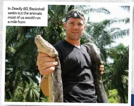  ??  ?? In Deadly 60, Backshall seeks out the animals most of us would run a mile from