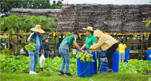  ?? CONTRIBUTE­D PHOTO ?? Farmers and farmworker­s in Sagay City, Negros Occidental are urged to grow their own garden of vegetables mainly to increase their income for their family▪