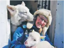  ??  ?? VAKT. Ulla Alms hund Nemi hjälper till att passa på lammen.