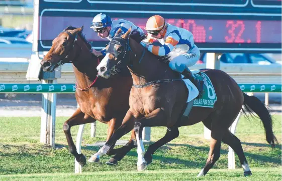  ?? Picture: TRACKSIDE PHOTOGRAPH­Y ?? Dollar For Dollar (right) finished third behind winner The Bostonian (inside) in the Doomben 10,000.