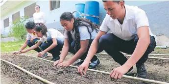  ?? FOTOS EFRAÍN MOLINA. ?? PRODUCCIÓN. Alumnos del centro de educación básica Petronila C. Villalobos de la colonia Bendeck, de El Progreso, participan con un huerto.