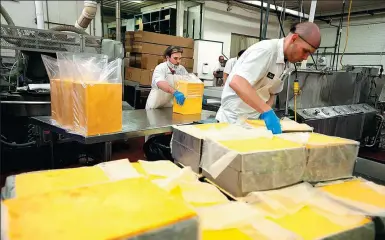  ?? BLOOMBERG ?? Workers package cheddar cheese in the packing area at Heini's cheese production facility in Berlin, Ohio.