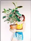  ??  ?? This undated photo shows Karin Scholte holding a Ficus elastica plant in The Netherland­s. Scholte’s Instagram feed is devoted to
houseplant­s. (AP)