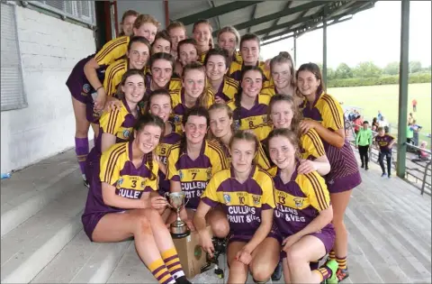  ??  ?? The Wexford squad get acquainted with the trophy after their victory in Banagher, Co. Offaly, on Sunday.